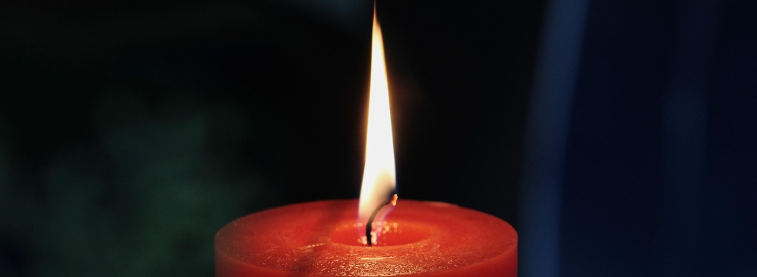 myoovi-cover-(1).jpg